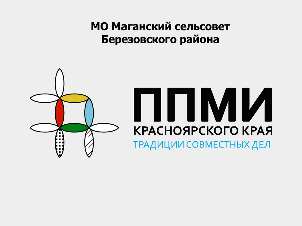 Логотип ППМИ